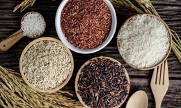 Gạo lứt, gạo đen hay gạo đỏ tốt nhất cho sức khỏe đường ruột và tim mạch?