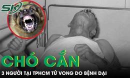 Chó cắn, 3 người tại TPHCM tử vong do bệnh dại
