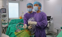 Lấy u tuyến yên qua đường mũi giúp cụ bà thoát cảnh mù lòa