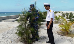 Nâng chất lượng trồng cây, từng bước phủ xanh Trường Sa