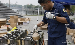 Sẵn sàng cho màn pháo hoa rực sáng Đất Tổ