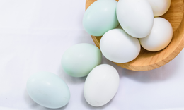 4 lợi ích sức khỏe nổi bật của trứng vịt