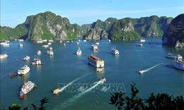 Thống nhất quy chế phối hợp quản lý tàu du lịch giữa vịnh Hạ Long và vịnh Lan Hạ