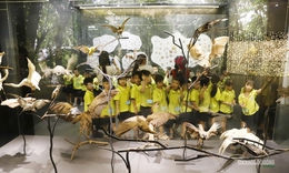 Điểm chạm di sản đang hút khách ở Thủ đô