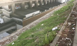 Tình trạng rác thải tái diễn trên sông Tô Lịch sau gần một năm cải tạo