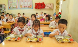 Chuyên gia đề xuất có tiêu chuẩn dinh dưỡng học đường thống nhất trên toàn quốc