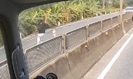 Video khoảnh khắc tài xế băng qua làn ngược chiều cứu cháu bé khỏi tình huống nguy hiểm