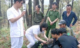 Đi leo núi, nam thanh niên bất ngờ ngất xỉu