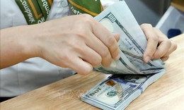 Tỷ giá hôm nay 6/4: USD hạ nhiệt, NDT tăng mạnh