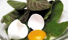 Tác dụng giải độc cơ thể của lá mơ lông