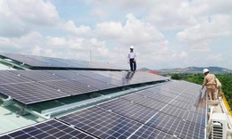 Năng lượng Nam Phương vi phạm chứng khoán