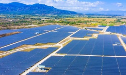 Trung Nam Thuận Nam mua lại trước hạn loạt mã trái phiếu