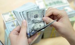 Tỷ giá USD hạ nhiệt