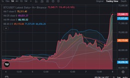Giá Bitcoin tăng 'bốc đầu' sáng 8/4