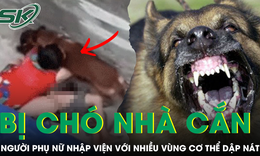 Cụ bà 72 tuổi nhập viện với nhiều vùng cơ thể dập nát vì bị chó becgie nặng 30kg cắn xé