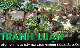 Tranh luận việc Kiểm lâm Côn Đảo tịch thu 42 cây mai vàng của người dân đang chăm sóc tại nhà