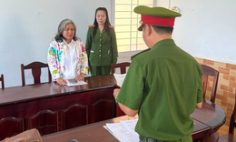 Bắt tạm giam Trần Thị Bích Phượng do lừa đảo chuyển nhượng 25.000m² đất ở Phú Quốc