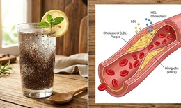 Cách uống nước hạt chia có thể giúp giảm cholesterol và hỗ trợ tim mạch