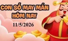 Con số may mắn hôm nay 11/5/2026 - số tài lộc 12 con giáp