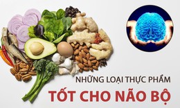 Các chất bổ sung cải thiện trí nhớ trong mùa thi: Hiểu đúng để dùng hiệu quả