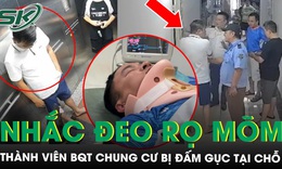 Nhắc đeo rọ mõm cho chó, thành viên Ban Quản trị chung cư bị đấm gục tại chỗ