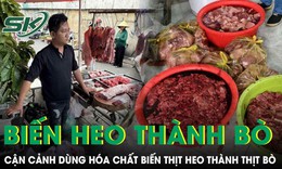 Cận cảnh quy trình dùng hóa chất 'biến' 65 tấn thịt heo thành thịt bò ở TP.HCM