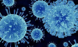 Hơn 1.700 người bị cách ly trên du thuyền sau khi 1 trường hợp tử vong do nghi nhiễm norovirus