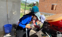 Sốt xuất huyết ở Khánh Hòa sắp ‘vào mùa’, bác sĩ khuyến cáo điều cần nhớ để phòng bệnh