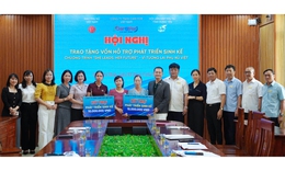 Care For Việt Nam tiếp sức phụ nữ Hưng Yên phát triển sinh kế