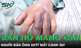 Đi làm ruộng bị rắn hổ mang cắn, người đàn ông suýt mất cánh tay 