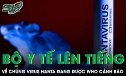 Bộ Y tế thông tin về chủng virus Hanta đang được WHO cảnh báo