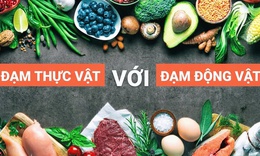 Protein từ động vật hay thực vật tốt hơn cho sức khỏe người cao tuổi?