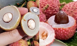 Ăn nhiều nhãn, vải thiều có gây mụn nhọt, hại cho da không?