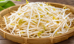 Lý do nên ăn giá đỗ vào tháng Năm
