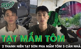2 thanh niên tạt sơn pha mắm tôm vào 3 căn nhà trong đêm ở TP Hồ Chí Minh