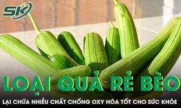 Loại quả rẻ bèo bán đầy chợ nhưng lại chứa nhiều chất chống oxy hóa tốt cho sức khỏe