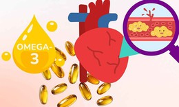 Omega-3 có tác dụng gì trong điều trị mỡ máu?