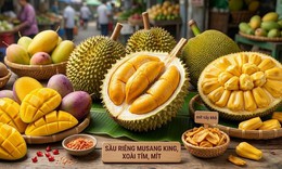 Xoài, mít, sầu riêng đang vào mùa, ăn thế nào để không tăng cân?