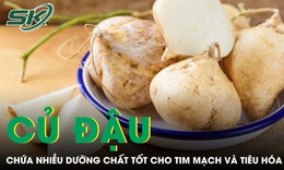 Củ đậu chứa nhiều dưỡng chất tốt cho tim mạch và tiêu hóa