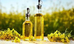 Nhu cầu sử dụng dầu mỡ của mỗi người, mỗi lứa tuổi: Dùng đúng để cơ thể khỏe mạnh hơn