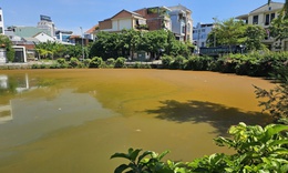 Mặt nước hồ Trái Tim ở Huế xuất hiện váng, đổi màu bất thường