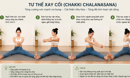 4 tư thế yoga nên tập vào buổi sáng giúp tăng độ dẻo dai, hỗ trợ giảm đau lưng