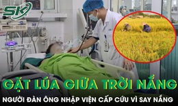 Gặt lúa giữa trời nắng gắt, người đàn ông nhập viện cấp cứu