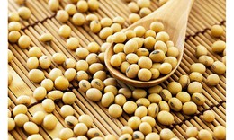 Khi nào người bệnh tuyến giáp cần thay đổi chế độ ăn?