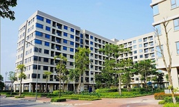 Hà Nội phải chủ động đầu tư nhà ở cho thuê quy mô lớn