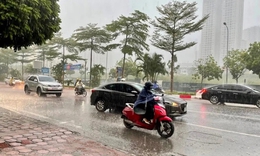 Những khu vực nào có mưa dông chiều nay?