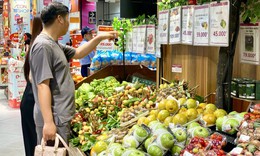 Vài u đầu mùa giá cả trăm nghìn đồng/kg nhưng vẫn ‘được lòng’ người tiêu dùng