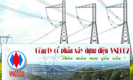 Ủy ban Chứng khoán Nhà nước xử phạt VNECO2