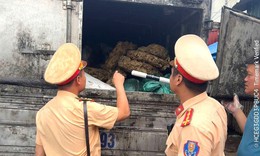 Tài xế ô tô mua hơn 2 tấn tóp mỡ bốc mùi mang đi tiêu thụ