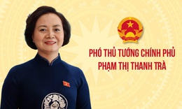 Phó Thủ tướng Phạm Thị Thanh Trà làm Trưởng BCĐ quốc gia về phát triển ngành Dược Việt Nam